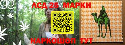 ALPHA PVP Бузулук