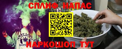 спиды Будённовск