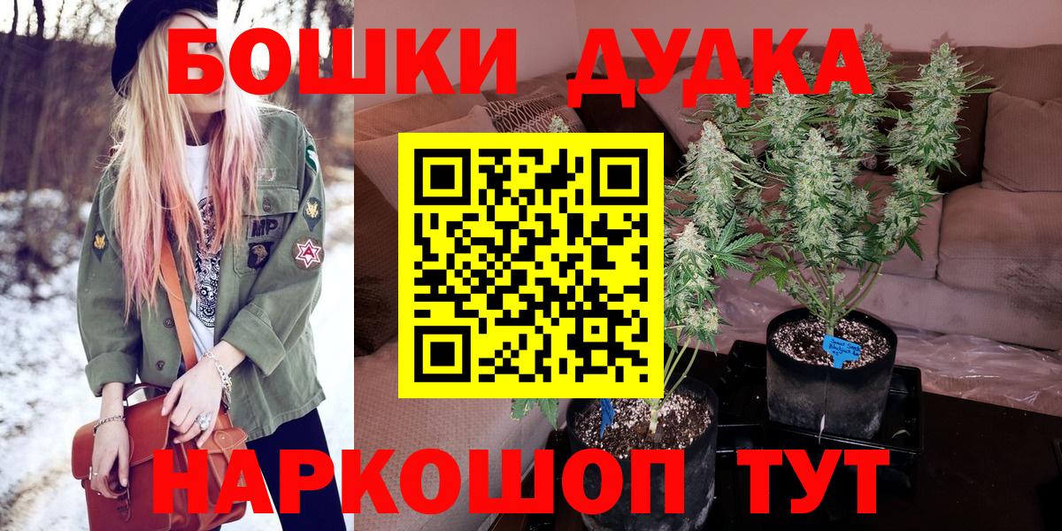 Канабис гибрид Советский